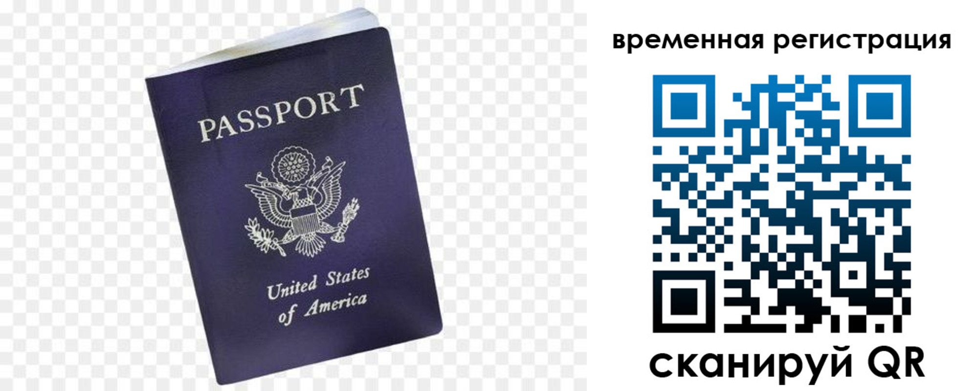 прописка в Судогде